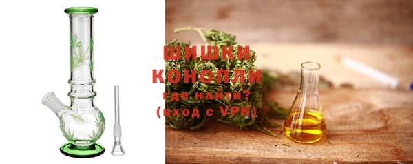 ГАЛЛЮЦИНОГЕННЫЕ ГРИБЫ Богданович