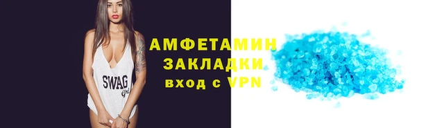 ГАЛЛЮЦИНОГЕННЫЕ ГРИБЫ Богданович