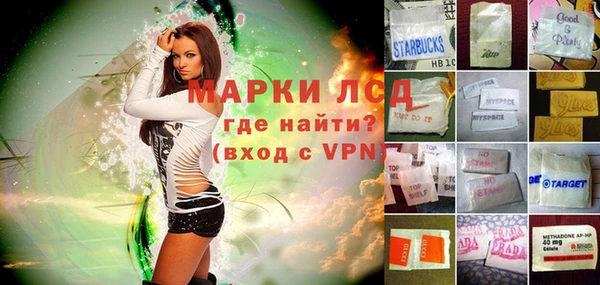 ГАЛЛЮЦИНОГЕННЫЕ ГРИБЫ Богданович