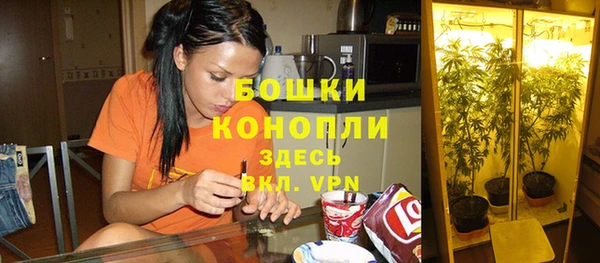 ПСИЛОЦИБИНОВЫЕ ГРИБЫ Бородино