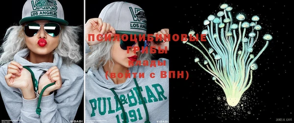 ГАЛЛЮЦИНОГЕННЫЕ ГРИБЫ Богданович