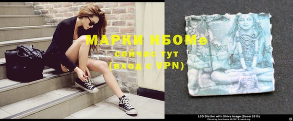 ГАЛЛЮЦИНОГЕННЫЕ ГРИБЫ Богданович
