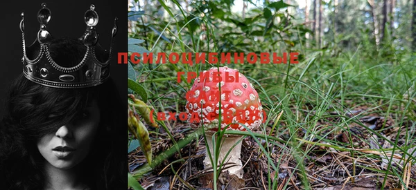 бошки Богородицк