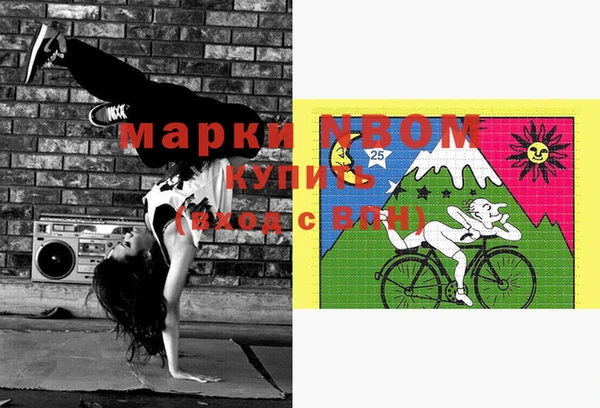 ГАЛЛЮЦИНОГЕННЫЕ ГРИБЫ Богданович