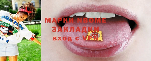 ГАЛЛЮЦИНОГЕННЫЕ ГРИБЫ Богданович